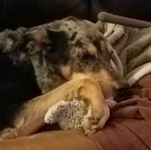 Meet your Posher, Melissa